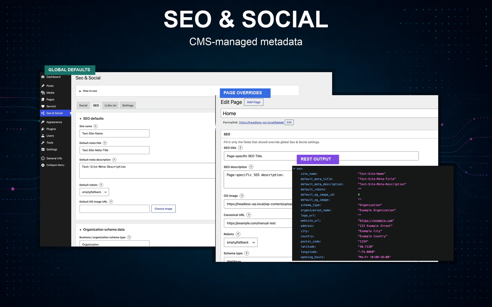 Seo & Social WordPress plugin settings and structured metadata workflow